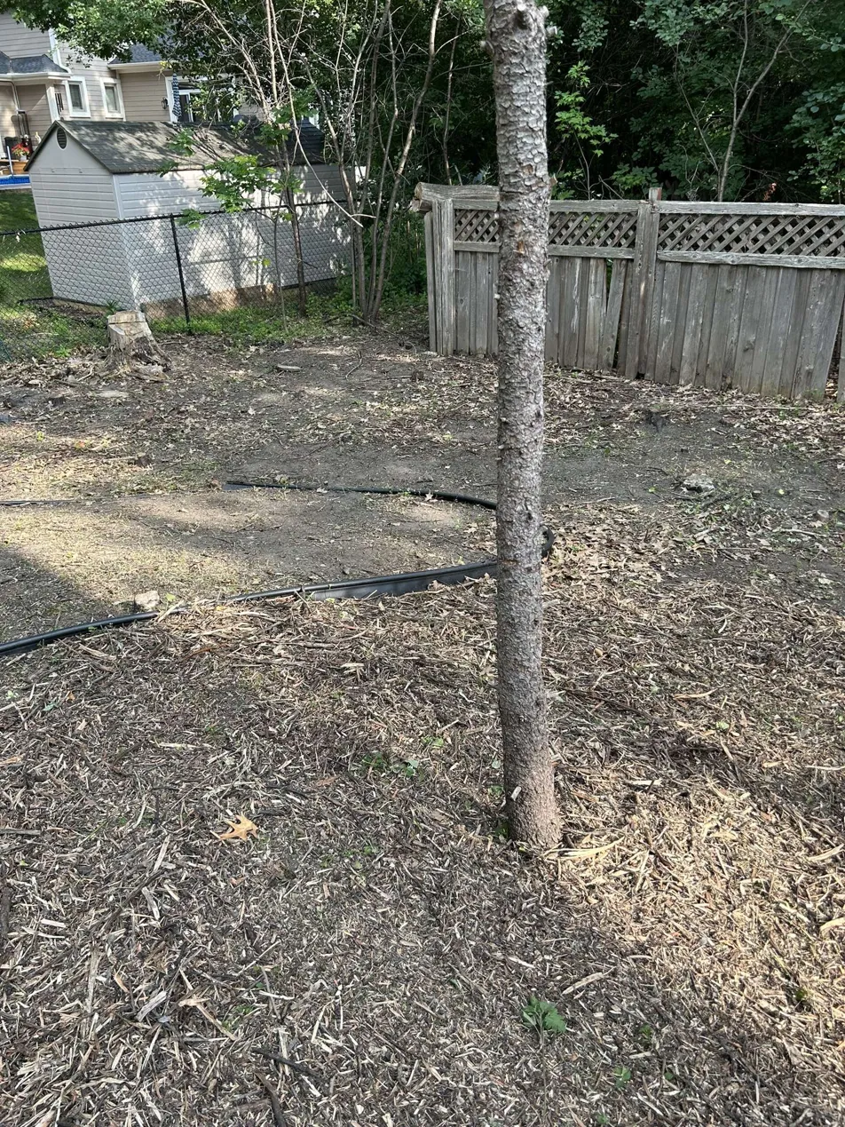 Same backyard cleared and tidy after service